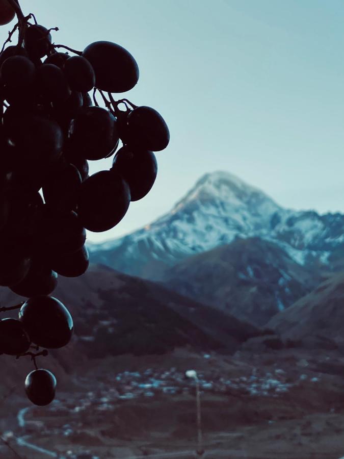 Guesthouse Relax In Kazbegi ภายนอก รูปภาพ