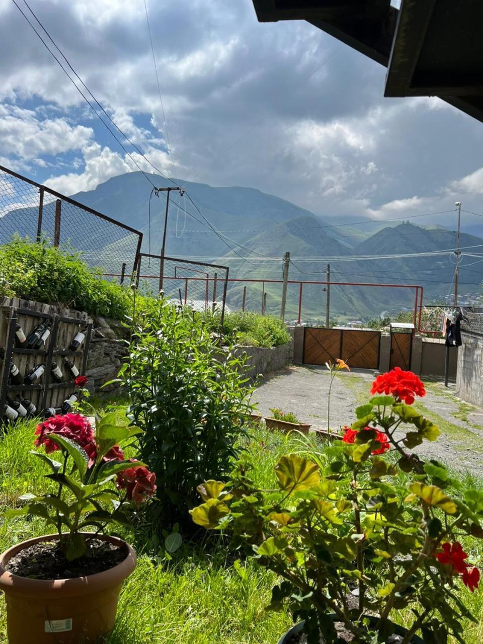 Guesthouse Relax In Kazbegi ภายนอก รูปภาพ