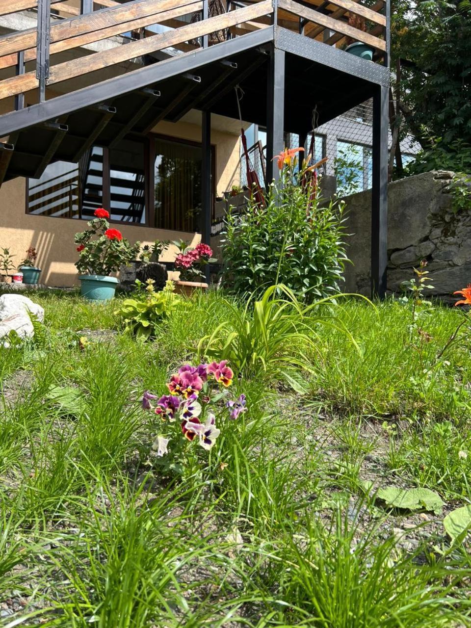 Guesthouse Relax In Kazbegi ภายนอก รูปภาพ